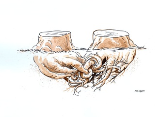 
                                                            necdet yilmaz turkey 151