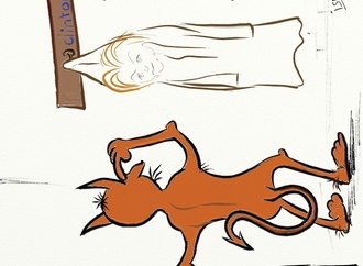 
                                                            ismail tokdemir1 turkey