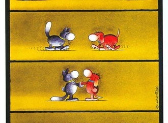 
                                                            guillermo mordillo 5