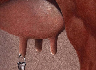 
                                                            گالری کارتون های همایون محمودی