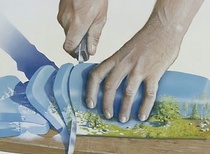 گالری برترین آثار کارتون جهان - بخش 1969