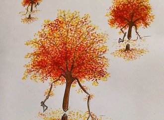 
                                                            aslan aghababaei 2