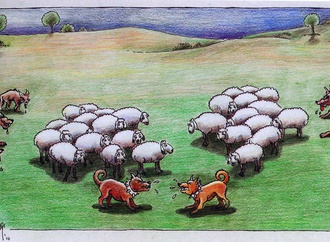 
                                                            mehmet zeber turkey