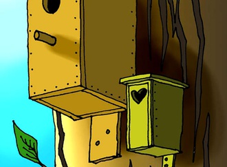 
                                                            tomasz woloszyn poland 11