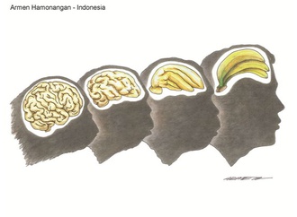 
                                                            sinaloa mexico 2019 32