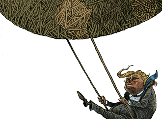 
                                                            dario castillejos mexico 17