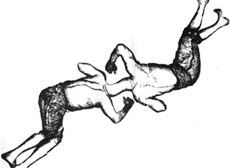 
                                                            ardeshir mohases 28
