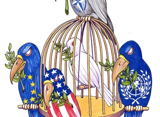 
                                                            miro stefanovic serbia 38