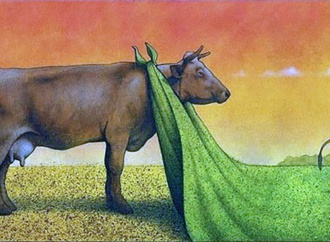 
                                                            pawel kuczynski poland 39