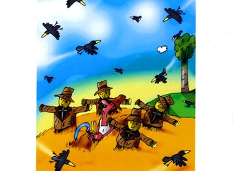 
                                                            toso borkovic serbia 31