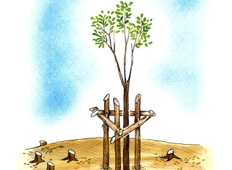 
                                                            cemalettin guzeloglu turkey 1