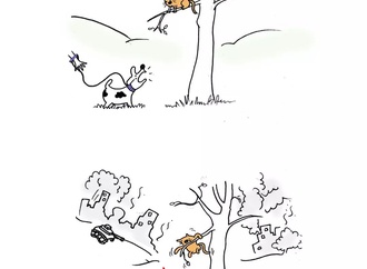 
                                                            hedieh sediqi kasmaei 1