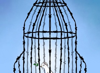 
                                                            ameen alhabarah saudi arabia 19