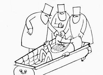 
                                                            paul flora 14