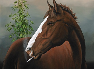 robert deyber usa 53