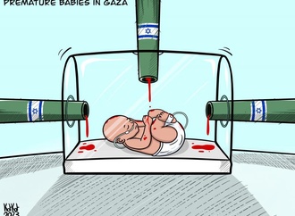 
                                                            morad kotkot palestina 30