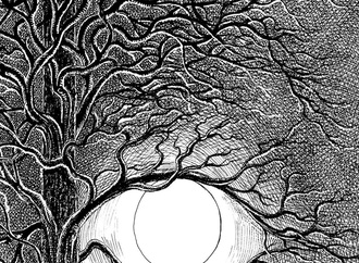 
                                                            mohsen nouri najafi14