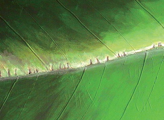 
                                                            farhad foroutanian 22