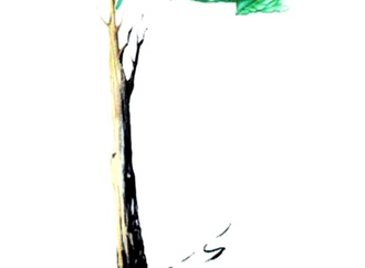 
                                                            oleksiy kustovsky ukraine 5