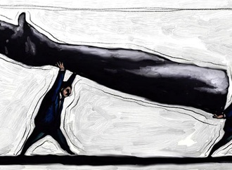 
                                                            fabio magnasciutti italy 31