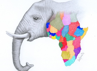 
                                                            paolo dalponte italy 23