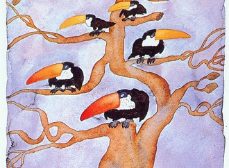 
                                                            fernando puig rosado 15