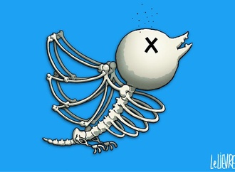 
                                                            glen le lievre 21