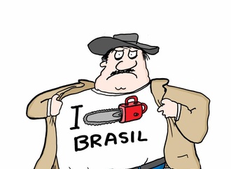 
                                                            nani lucas brazil 7
