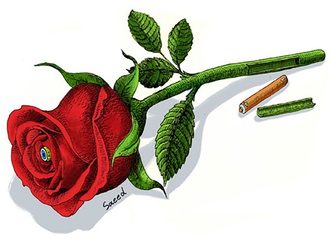 
                                                            saeid sadeghi iran 1