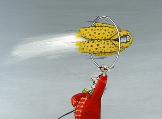 
                                                            roger blachon france 6