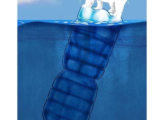 
                                                            vasco gargalo portugal 1