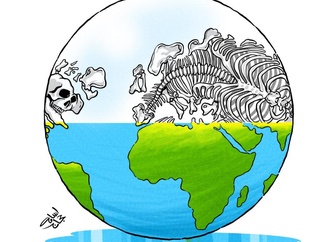 
                                                            osama hajjaj 35