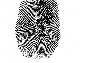 
                                                            antonio carlos brazil 56