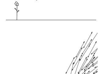 
                                                            aytur sahinbay turkey 19