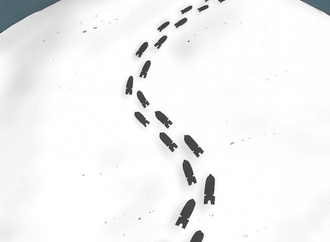 
                                                            dariusz dabrowski 22