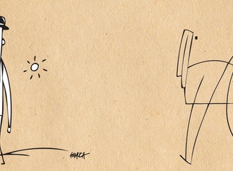 
                                                            samuca andrade brazil 9