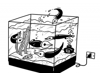 
                                                            emad hajjaj 9