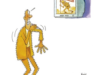 
                                                            mustafa bilgin turkey