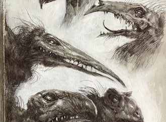 
                                                            audrey benjaminsen usa 39