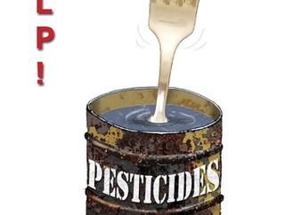 
                                                            bernard bouton france 42