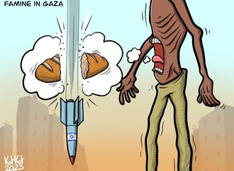 
                                                            morad kotkot palestina 18