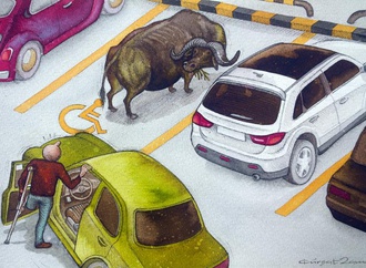 
                                                            kuersoat zaman turkey9