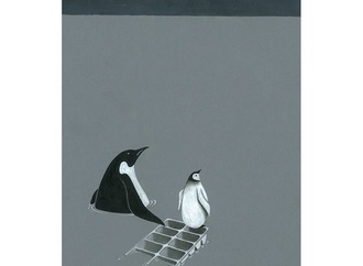 
                                                            houmayoun mahmoudi iran