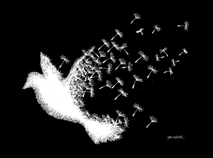 By: روکه سوزا