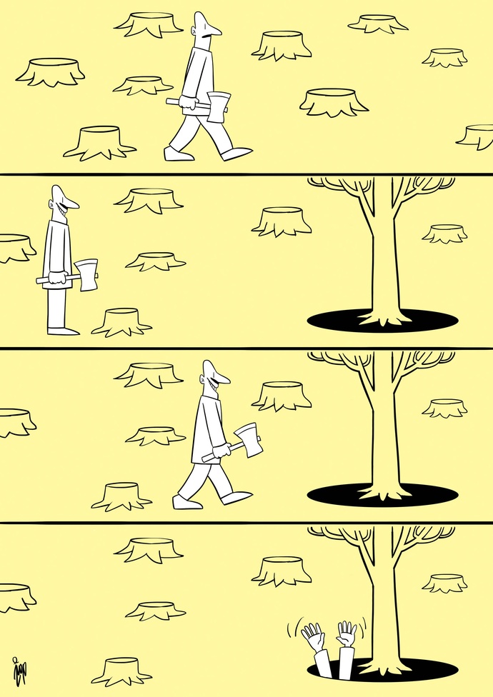 By: حمیدرضا مسیبی