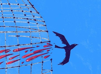 
                                                            ahmed kabir kishore 2