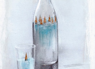 
                                                            luc descheemaeker belgium 27