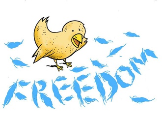 
                                                            oguz gurel turkey 92