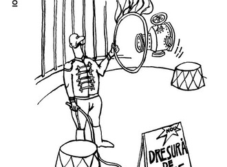 
                                                            ion barbu romania 23