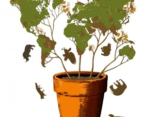 تنوع زیستی